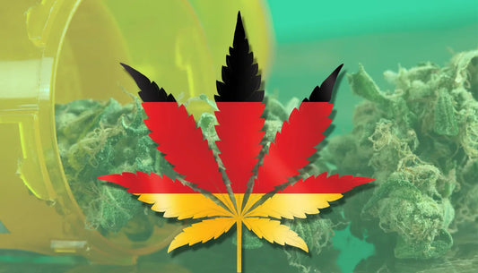 Cannabis legalisierung in deutschland 