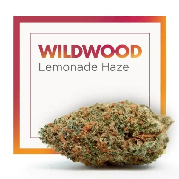 CBD Cannabis Indoor WILDWOOD Flowers (Lemonade Haze)