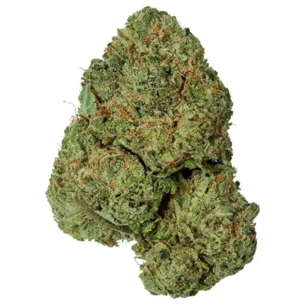 Premium Great White Shark CBD - Indoor - dried flower